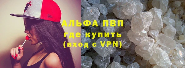 спайс Богданович