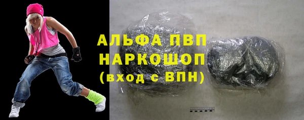спайс Богданович