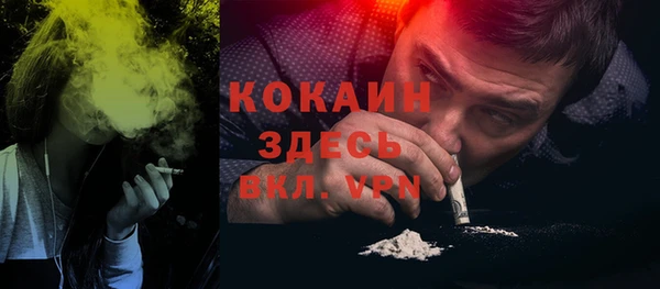 спайс Богданович