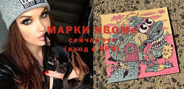 спайс Богданович