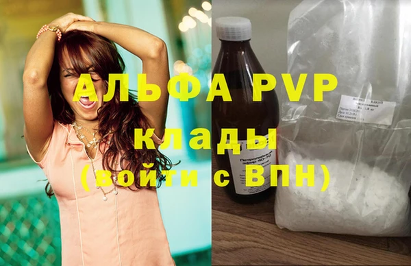 спайс Богданович