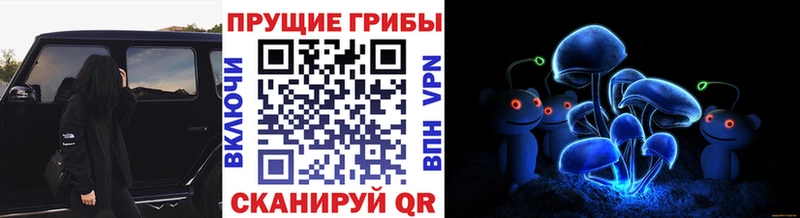 Псилоцибиновые грибы Magic Shrooms  дарнет шоп  Котельники 